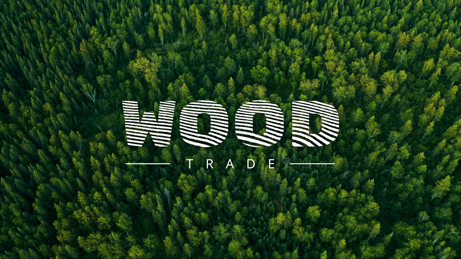Разработка интернет-магазина компании «Wood Trade» в Рассказово
